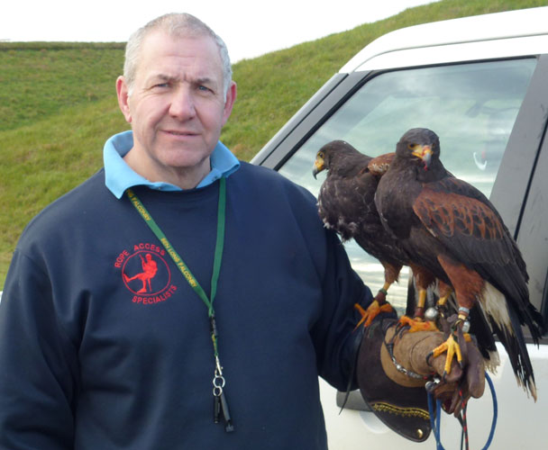 Falconry services by SWAT Pest Control Ltd