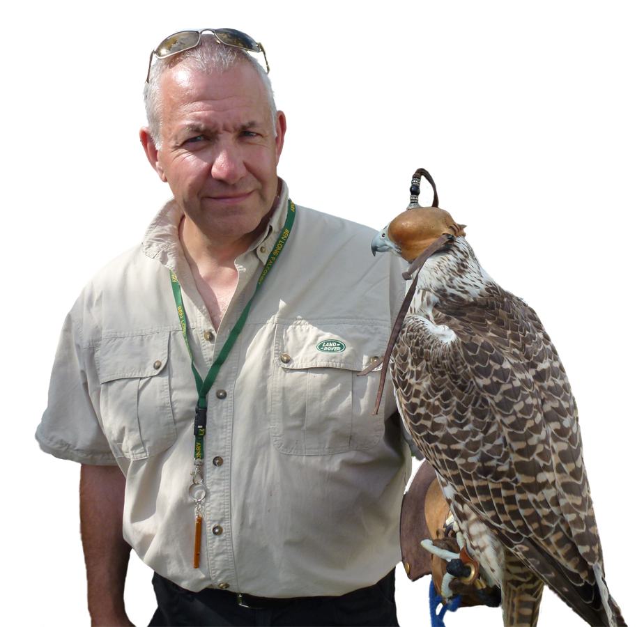 Falconry services by SWAT Pest Control Ltd.