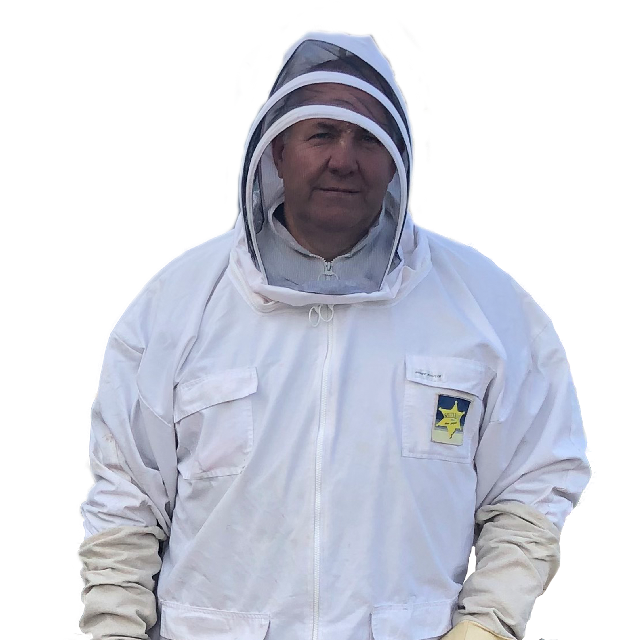 Bee control/ removal by SWAT Pest Control Ltd.